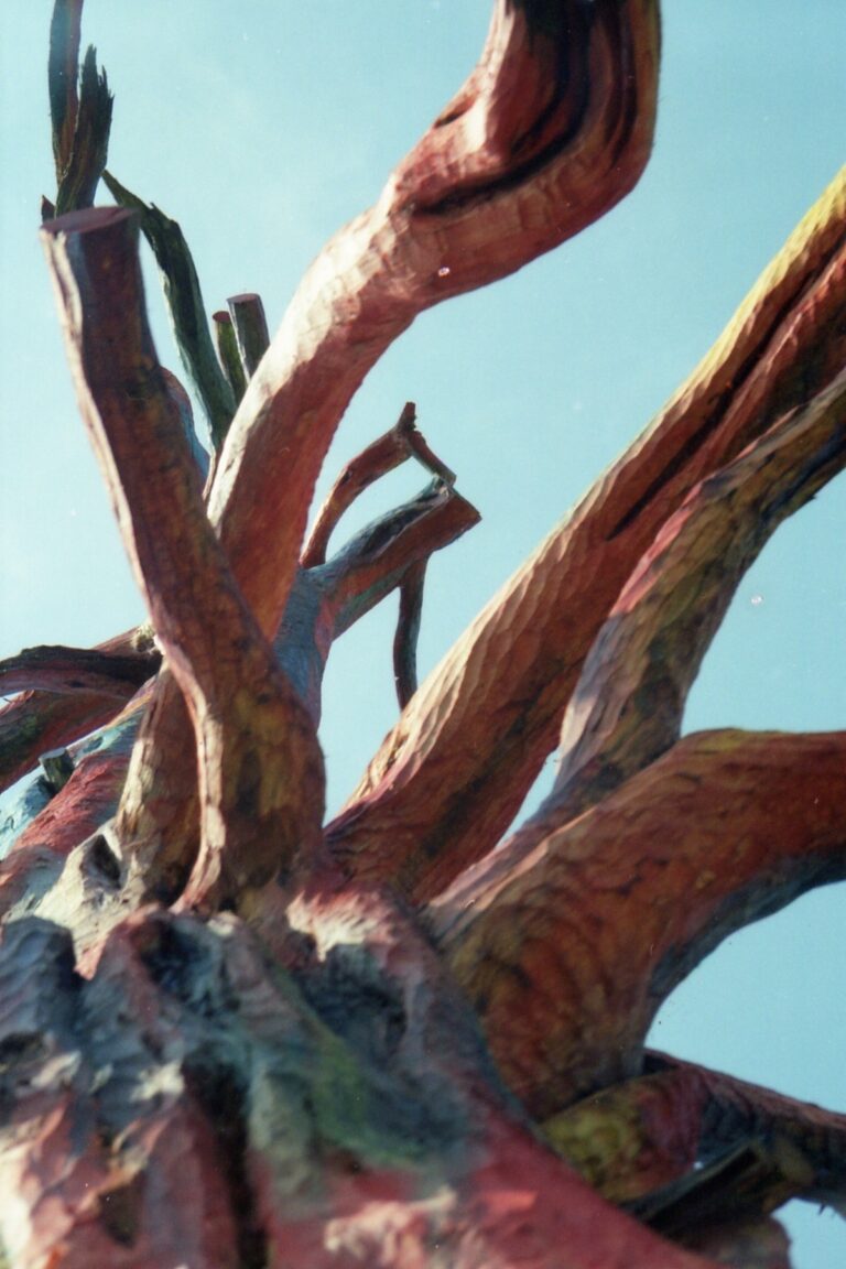 Close view of twisting branches on a painted wooden sculpture