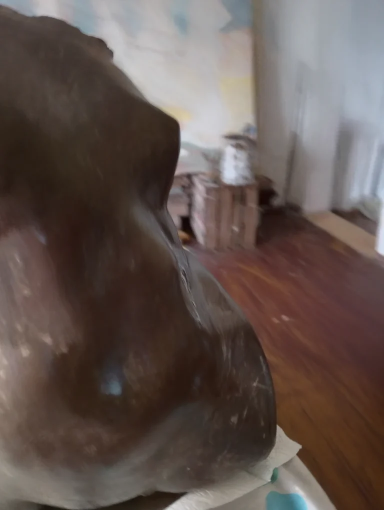 Side detail of a polished dark brown abstract stone sculpture