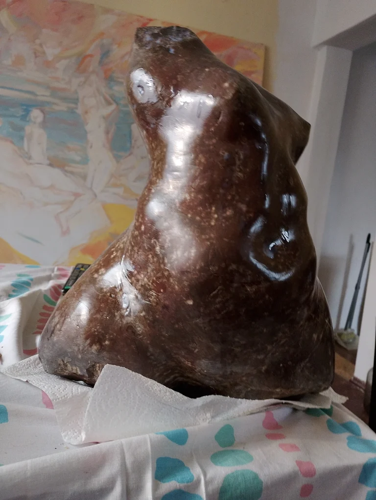 Front view of a polished dark brown abstract stone sculpture